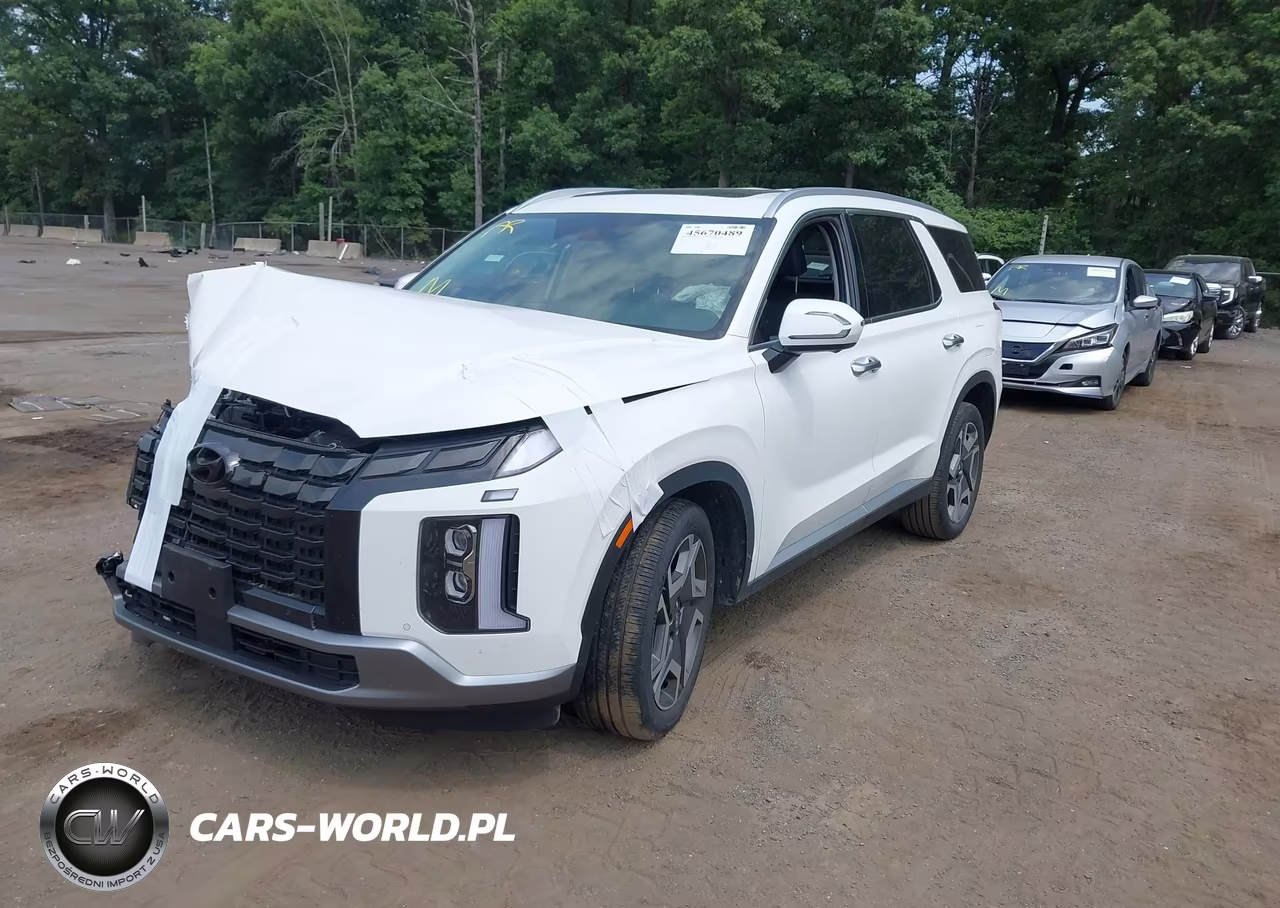 2023 Hyundai Palisade Sel VIN:KM8R4DGE0PU636808 - 2