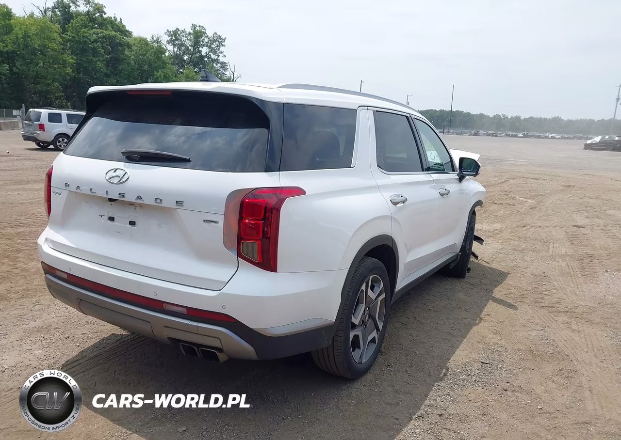 2023 Hyundai Palisade Sel VIN:KM8R4DGE0PU636808 - 4