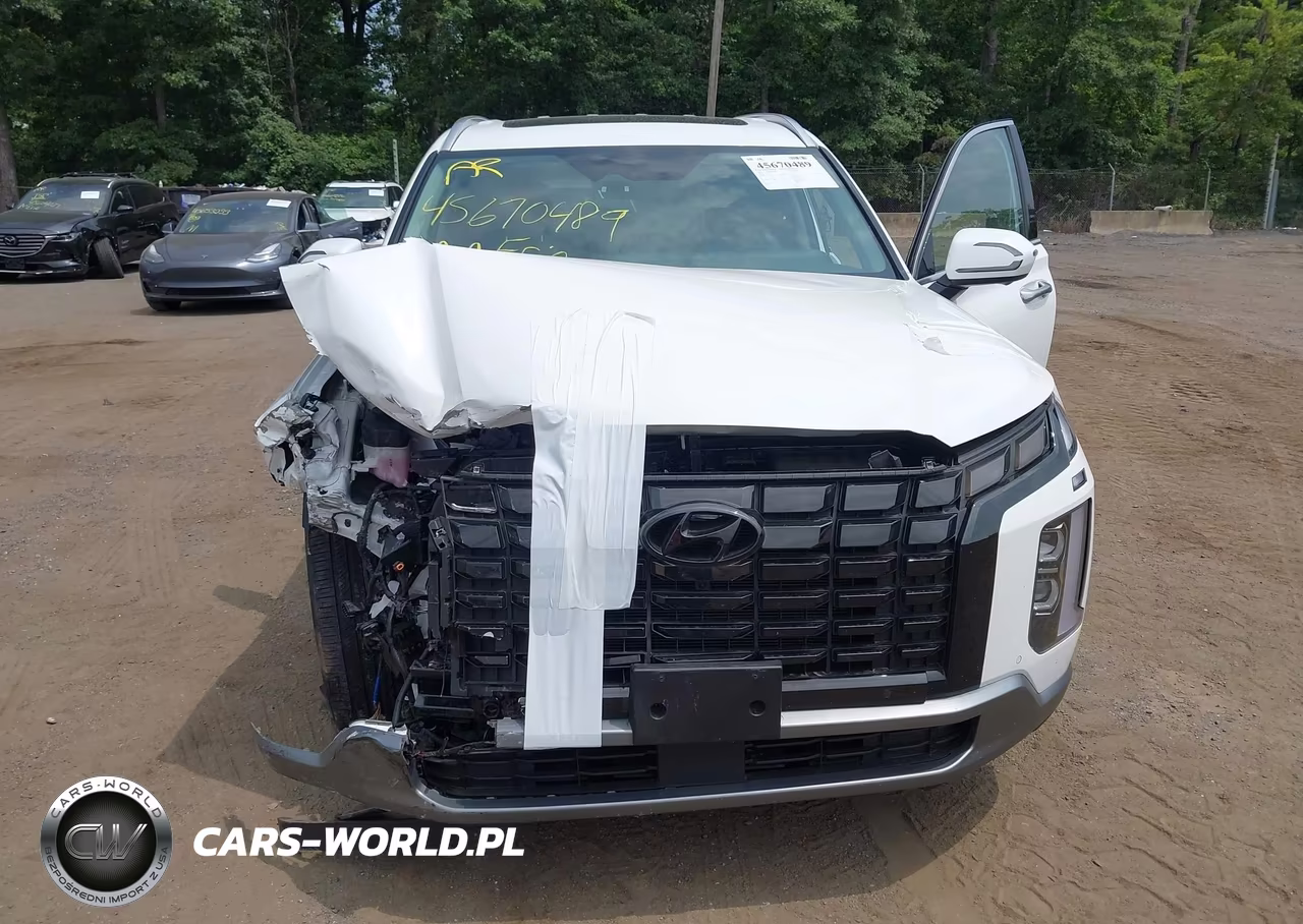 2023 Hyundai Palisade Sel VIN:KM8R4DGE0PU636808 - 6