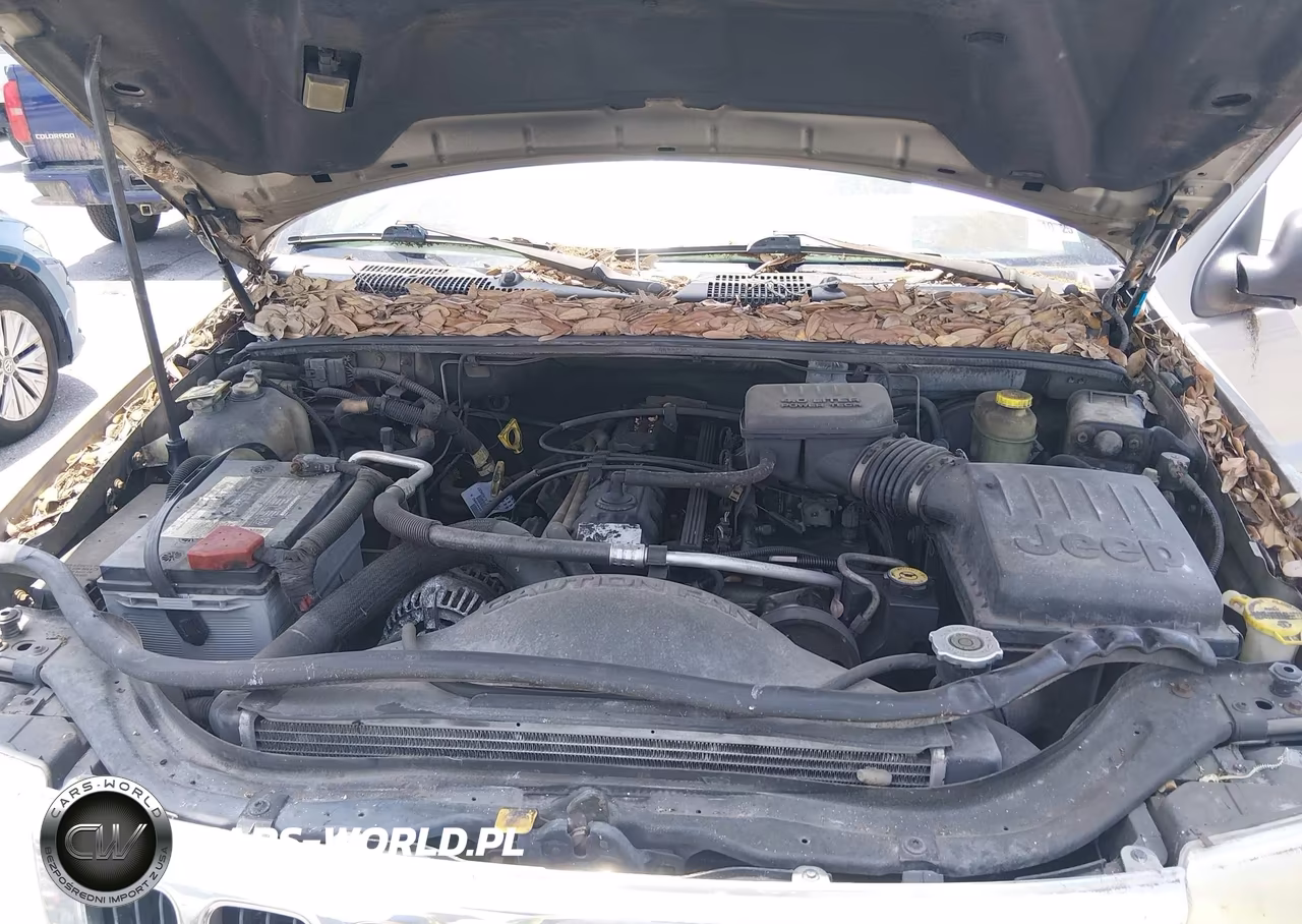 2000 Jeep Grand Cherokee Laredo VIN:1J4G248S7YC412958 - 10