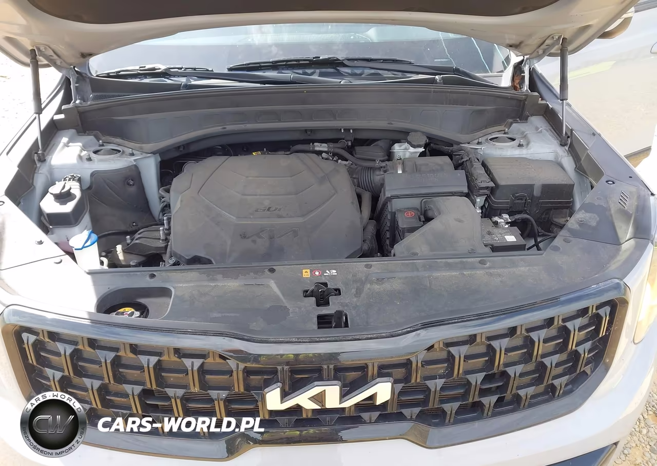2024 Kia Telluride Ex X-Line VIN:5XYP3DGC7RG429219 - 10