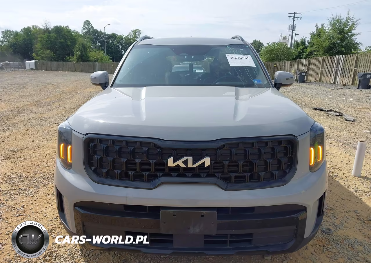2024 Kia Telluride Ex X-Line VIN:5XYP3DGC7RG429219 - 13