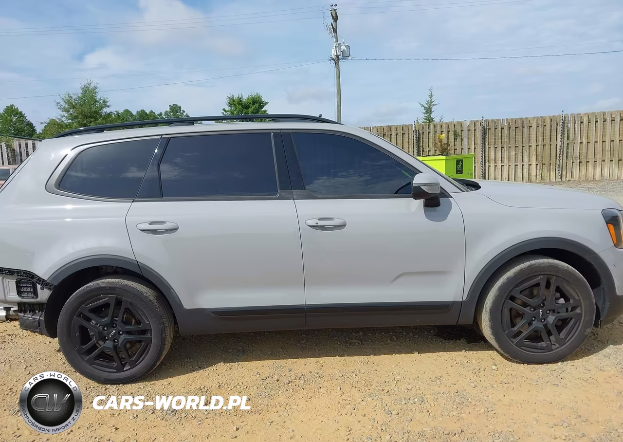 2024 Kia Telluride Ex X-Line VIN:5XYP3DGC7RG429219 - 14
