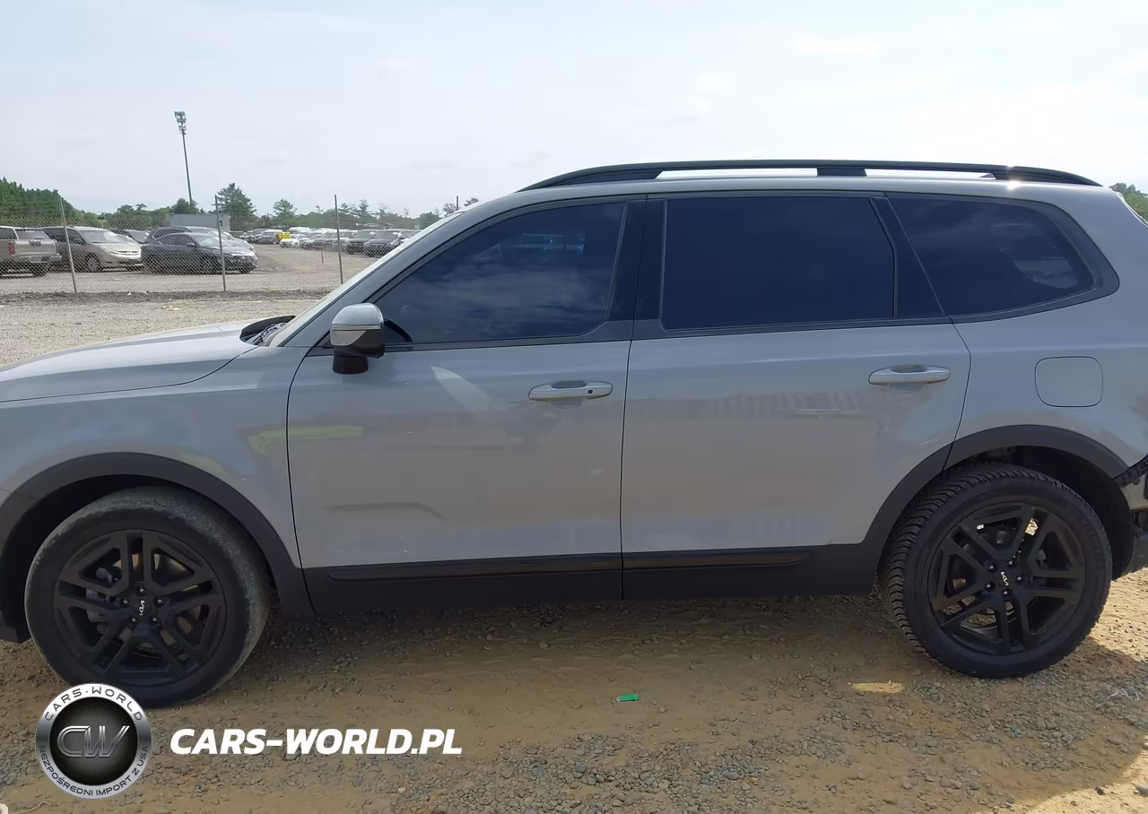 2024 Kia Telluride Ex X-Line VIN:5XYP3DGC7RG429219 - 15