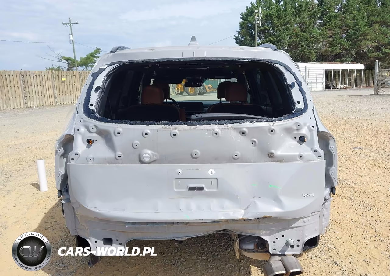 2024 Kia Telluride Ex X-Line VIN:5XYP3DGC7RG429219 - 17