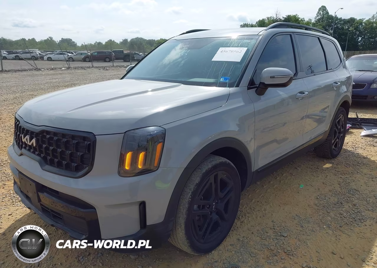 2024 Kia Telluride Ex X-Line VIN:5XYP3DGC7RG429219 - 2