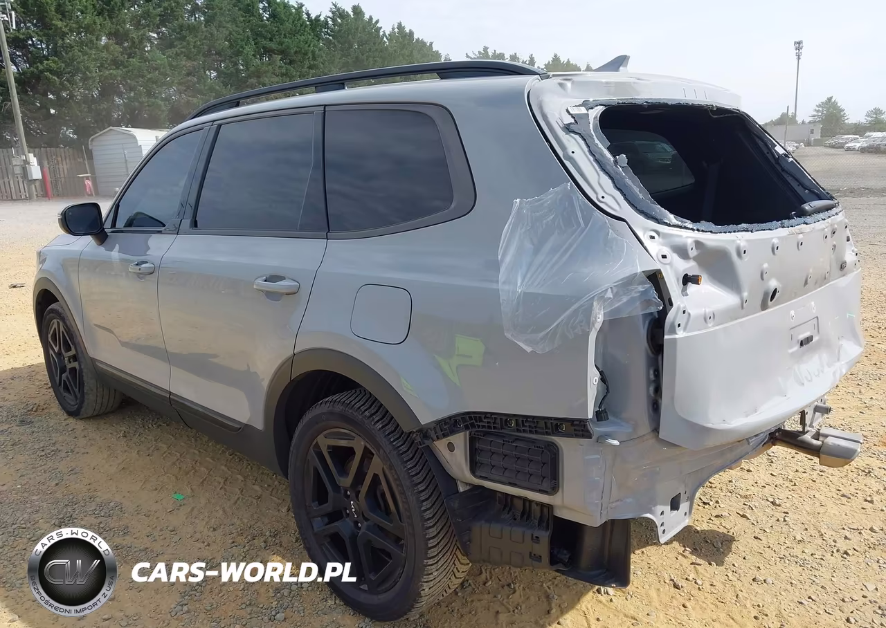 2024 Kia Telluride Ex X-Line VIN:5XYP3DGC7RG429219 - 3
