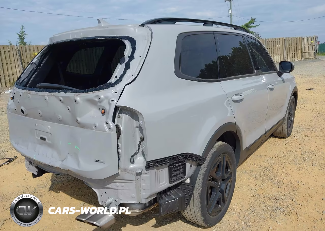2024 Kia Telluride Ex X-Line VIN:5XYP3DGC7RG429219 - 4