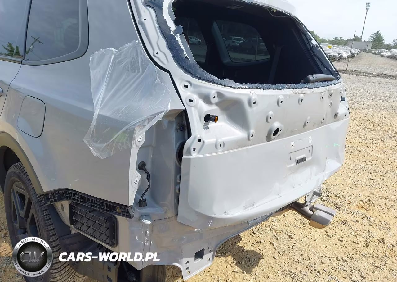 2024 Kia Telluride Ex X-Line VIN:5XYP3DGC7RG429219 - 6
