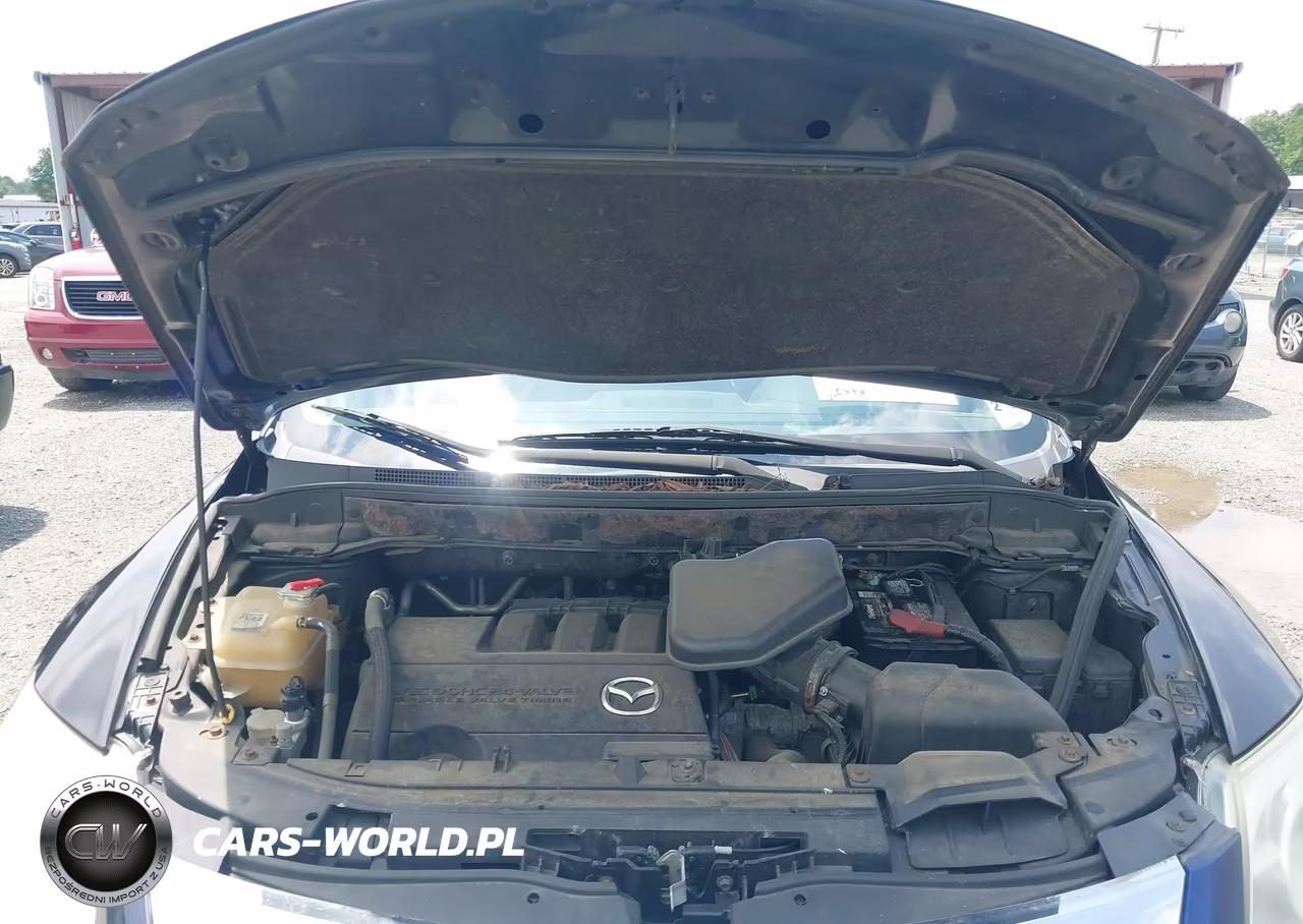 2010 Mazda Cx-9 Sport VIN:JM3TB3MA2A0201905 - 10