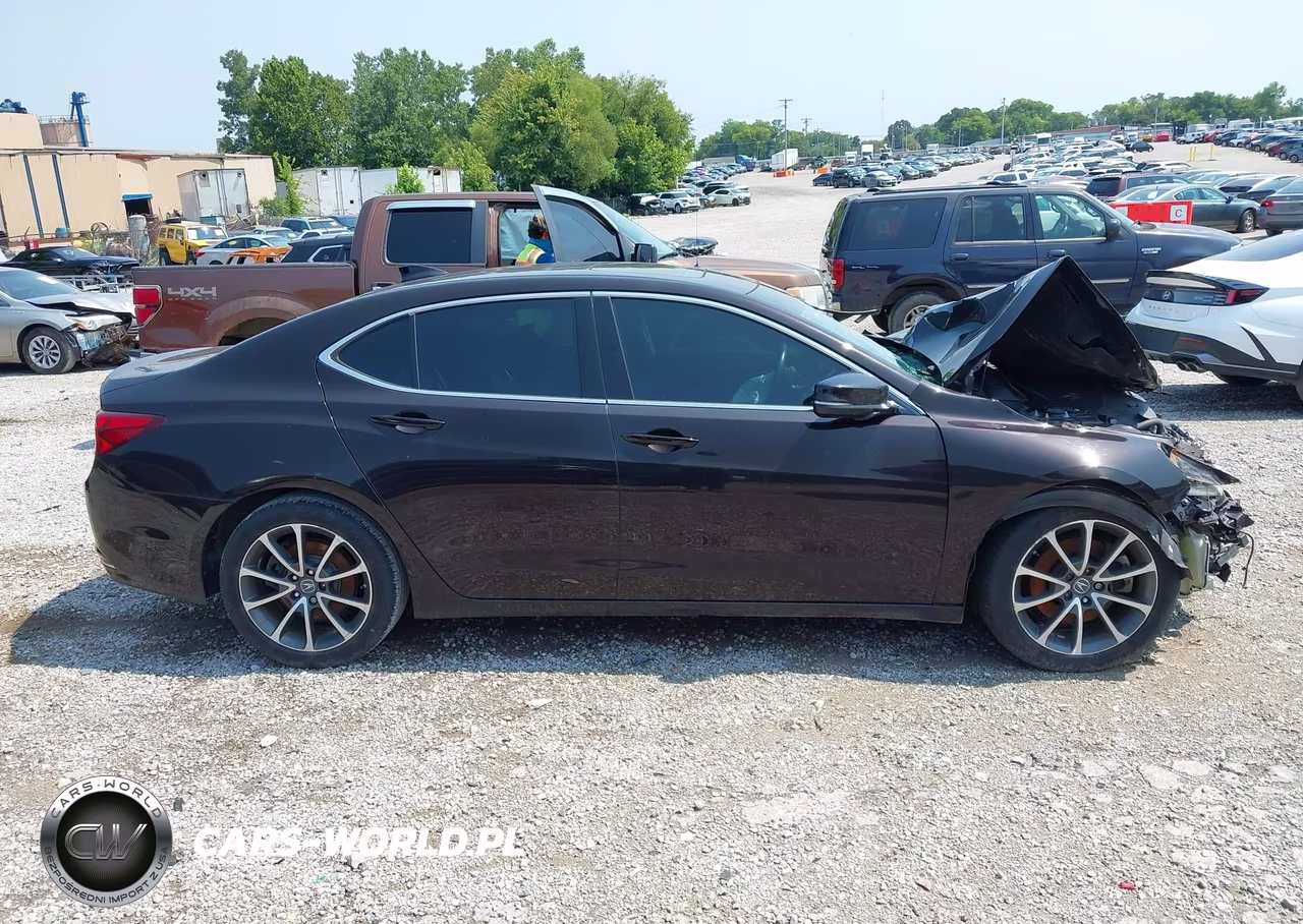 2015 Acura Tlx V6 Tech VIN:19UUB2F54FA004907 - 14