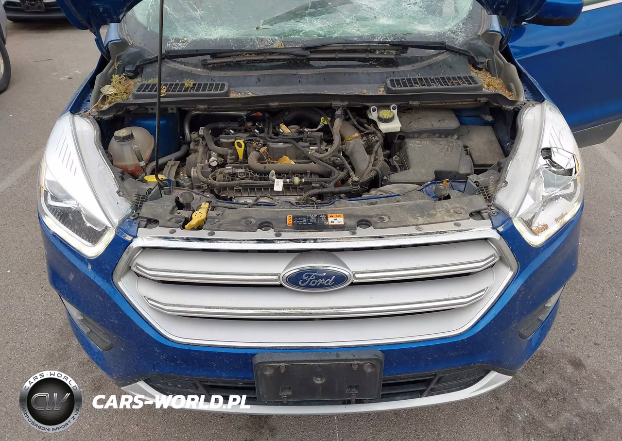 2019 Ford Escape Sel VIN:1FMCU9HD2KUC32295 - 10