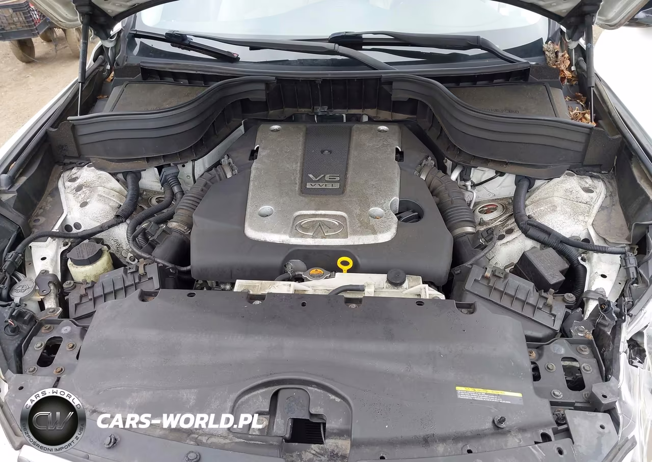 2016 Infiniti Qx50 VIN:JN1BJ0RR3GM262690 - 10