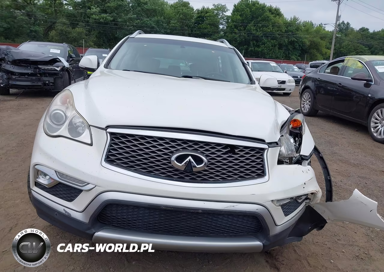 2016 Infiniti Qx50 VIN:JN1BJ0RR3GM262690 - 12