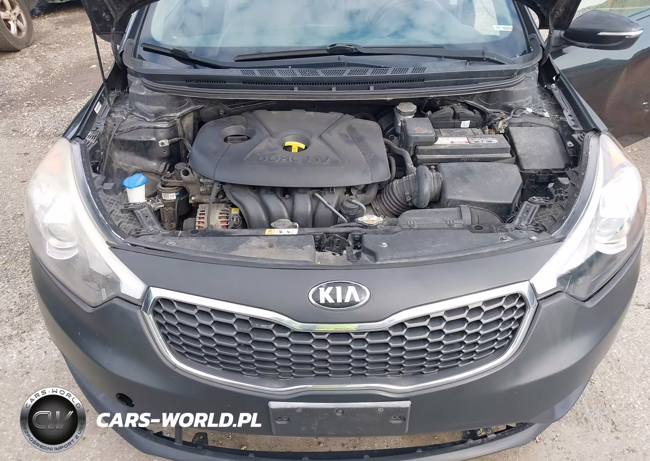2015 Kia Forte Lx VIN:KNAFX4A60F5389196 - 10