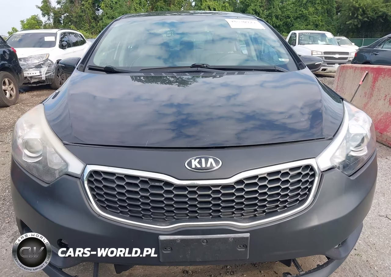 2015 Kia Forte Lx VIN:KNAFX4A60F5389196 - 14