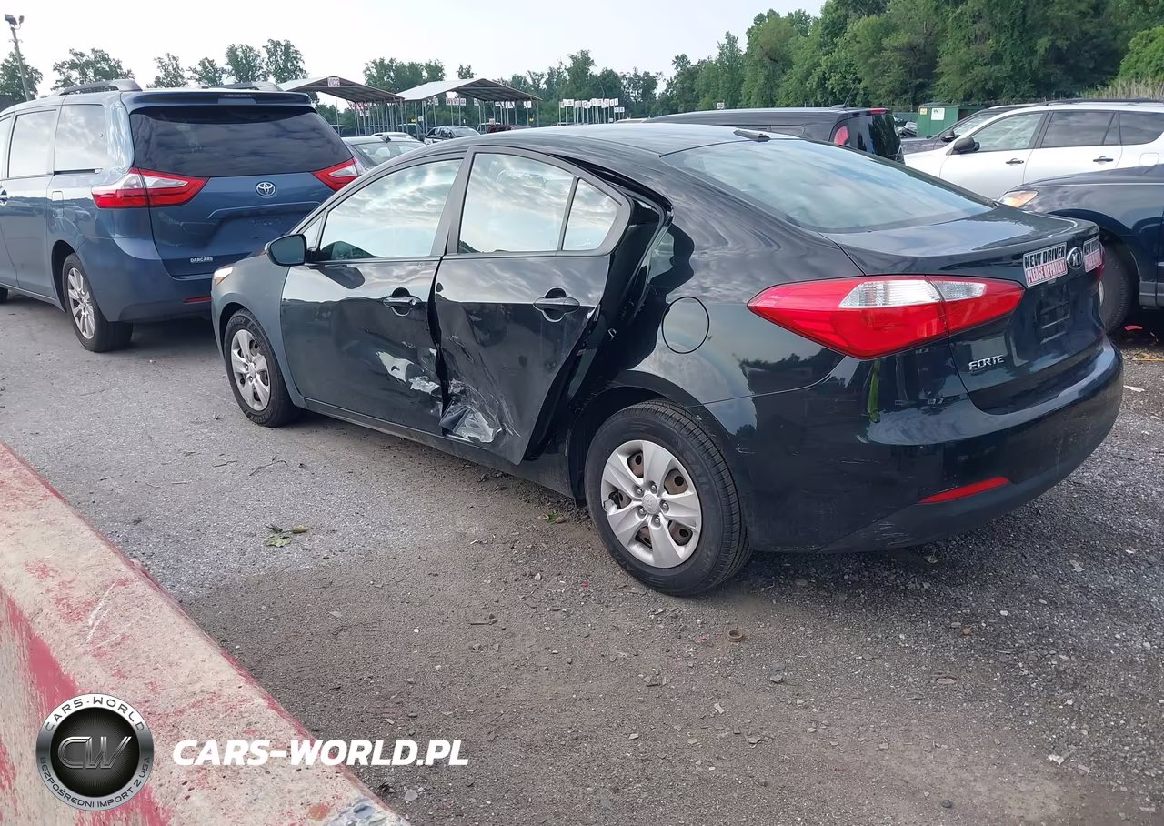 2015 Kia Forte Lx VIN:KNAFX4A60F5389196 - 3