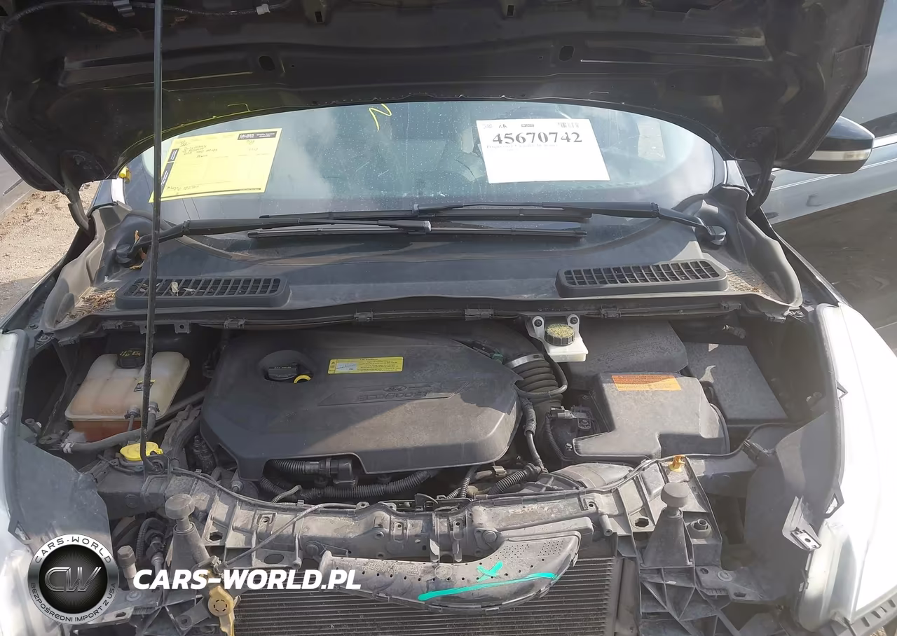 2013 Ford Escape Sel VIN:1FMCU0HX2DUC68688 - 10