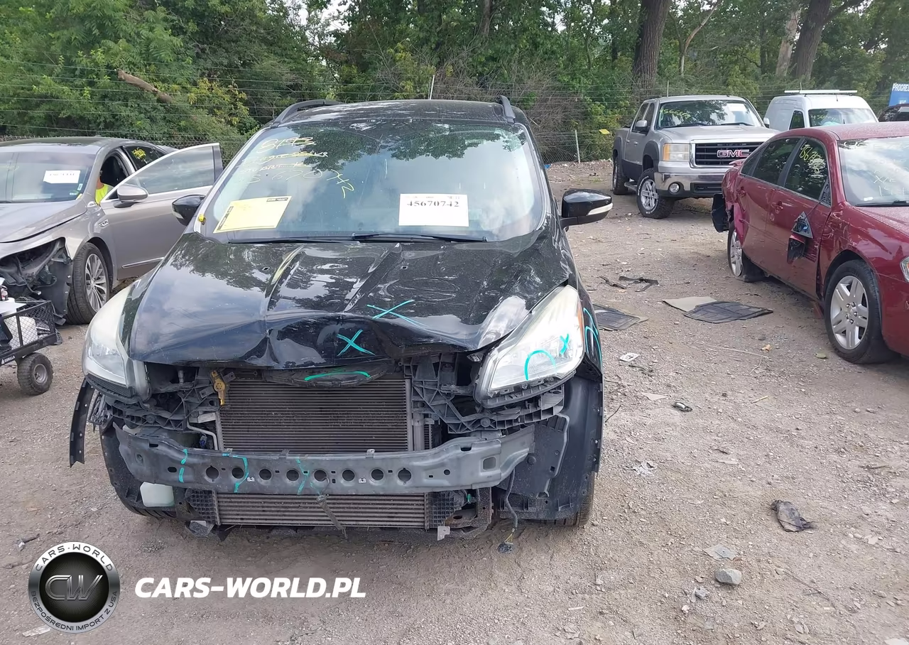 2013 Ford Escape Sel VIN:1FMCU0HX2DUC68688 - 13