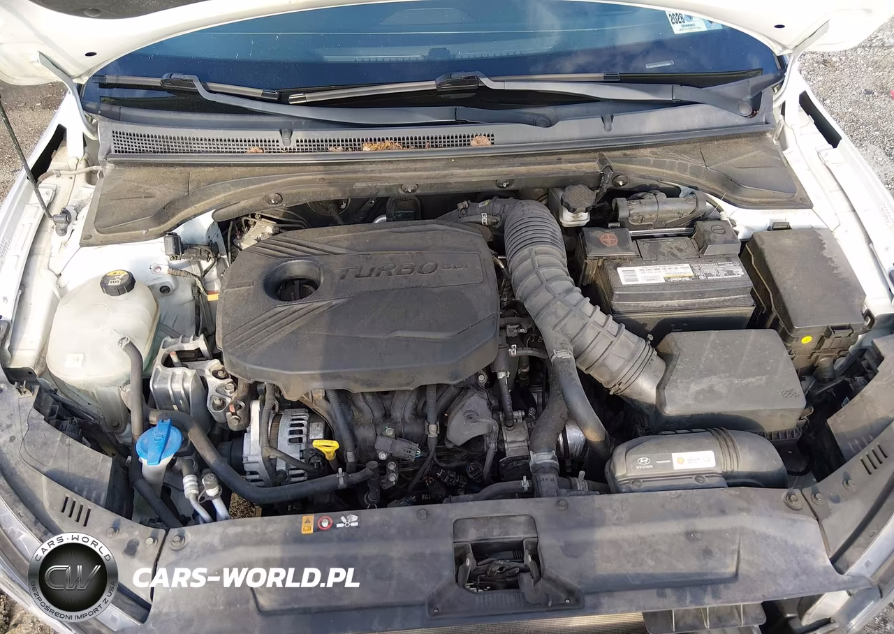 2019 Hyundai Veloster Turbo Ultimate VIN:KMHTH6AB9KU013846 - 10