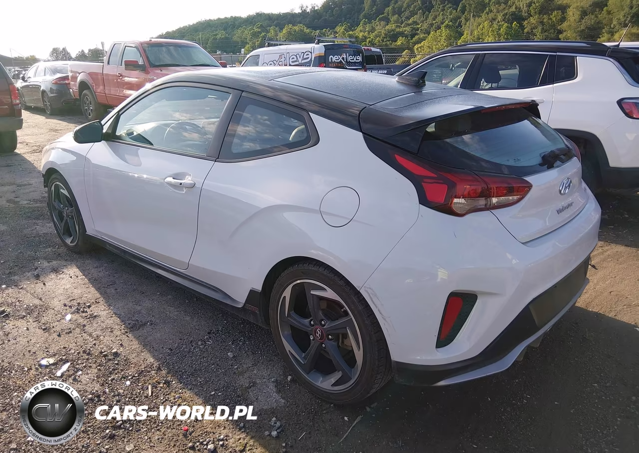 2019 Hyundai Veloster Turbo Ultimate VIN:KMHTH6AB9KU013846 - 3