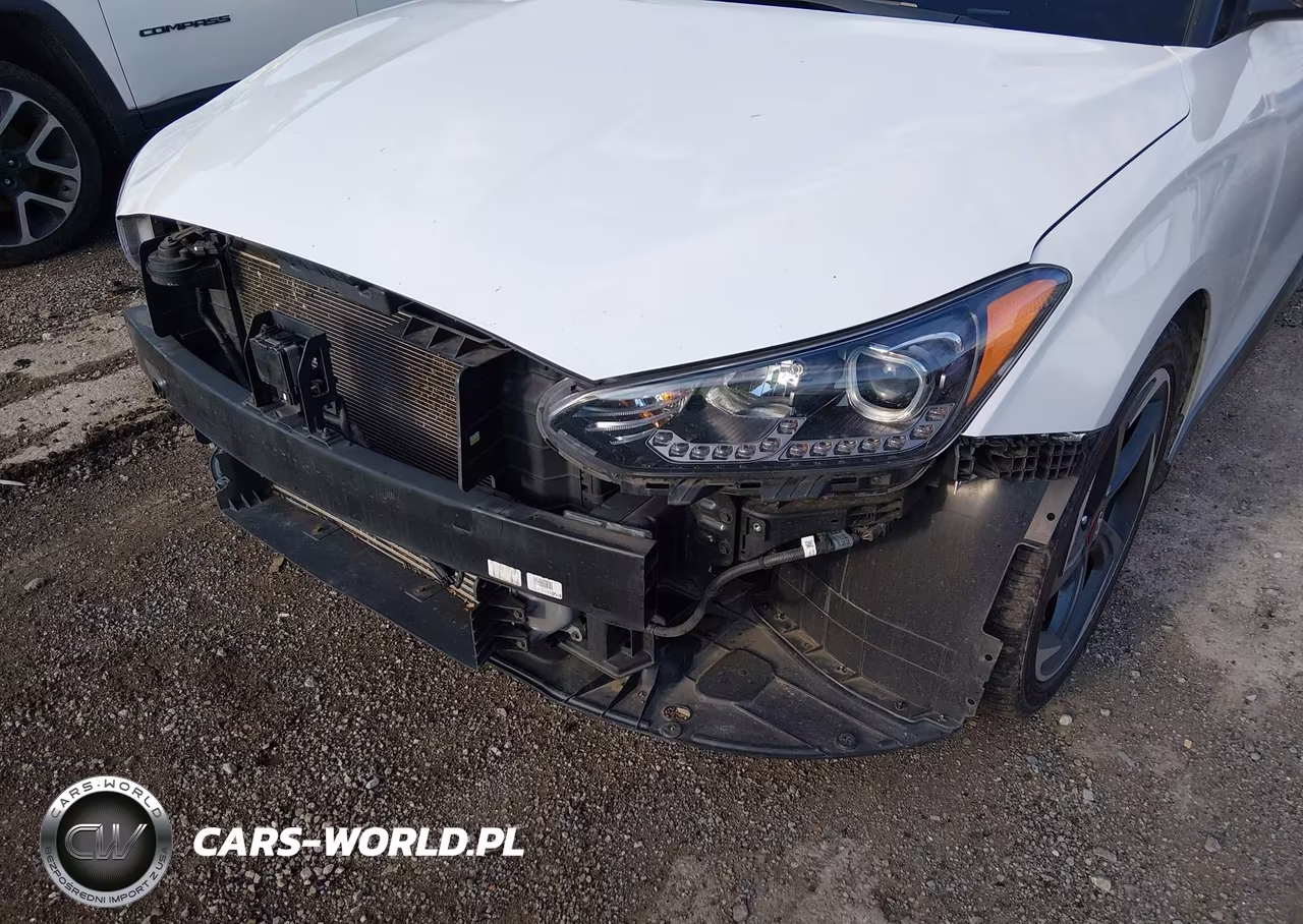 2019 Hyundai Veloster Turbo Ultimate VIN:KMHTH6AB9KU013846 - 6