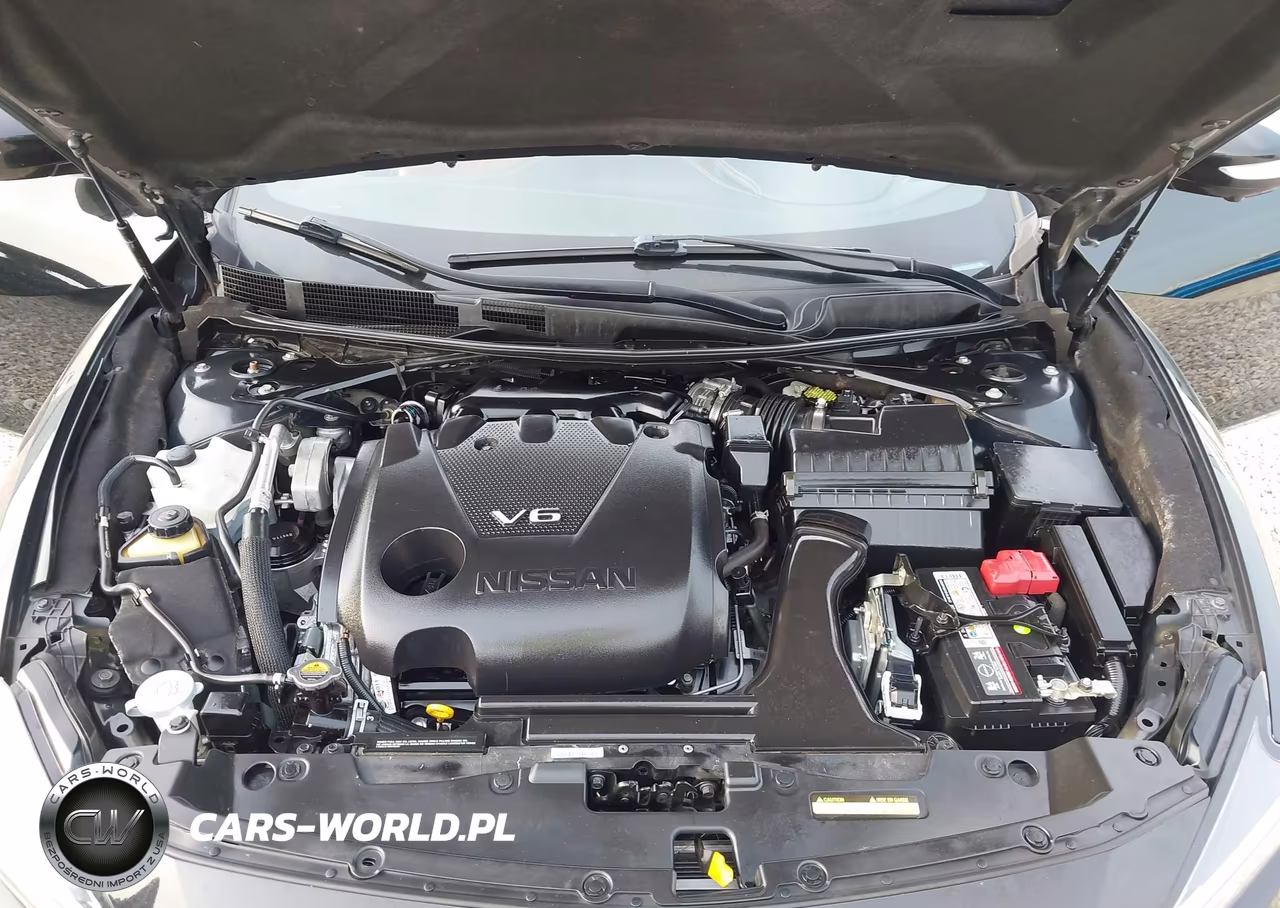 2020 Nissan Maxima Platinum Xtronic Cvt VIN:1N4AA6FV2LC370124 - 10