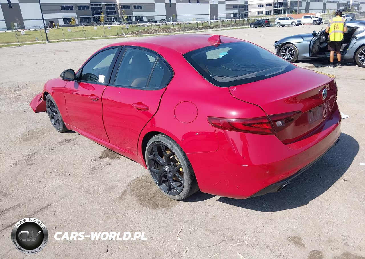 2019 Alfa Romeo Giulia Rwd VIN:ZARFAMANXK7622775 - 3