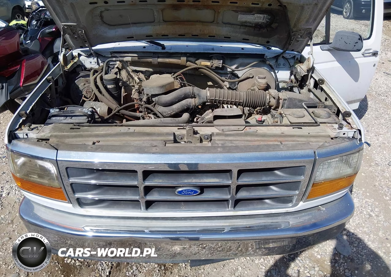 1995 Ford F150 VIN:1FTEF15NXSLB96951 - 10