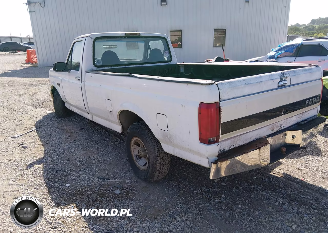 1995 Ford F150 VIN:1FTEF15NXSLB96951 - 3
