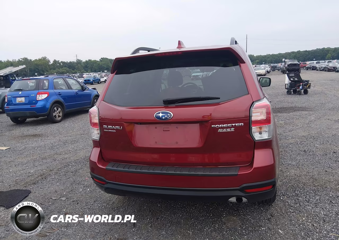 2017 Subaru Forester 2.5I Premium VIN:JF2SJAGC3HH433175 - 16