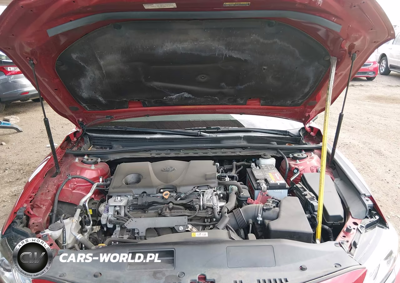 2019 Toyota Camry Xse VIN:4T1B61HKXKU186558 - 10