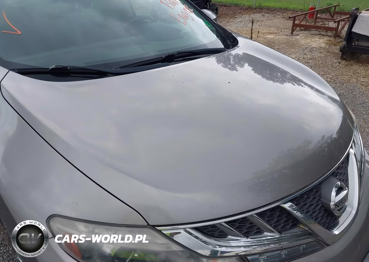 2011 Nissan Murano Le VIN:JN8AZ1MW3BW155984 - 14