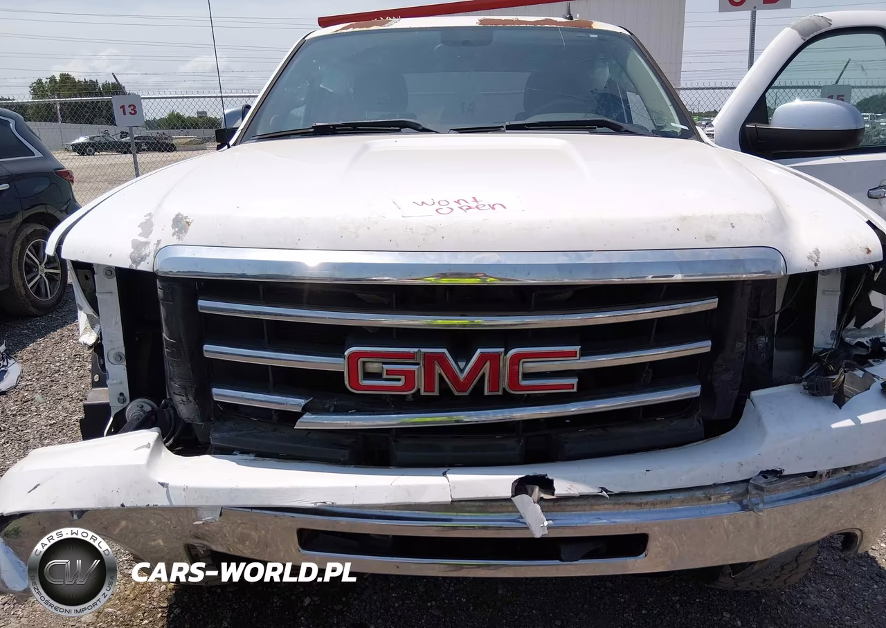 2013 GMC Sierra 1500 Sle VIN:3GTP1VE09DG121029 - 10
