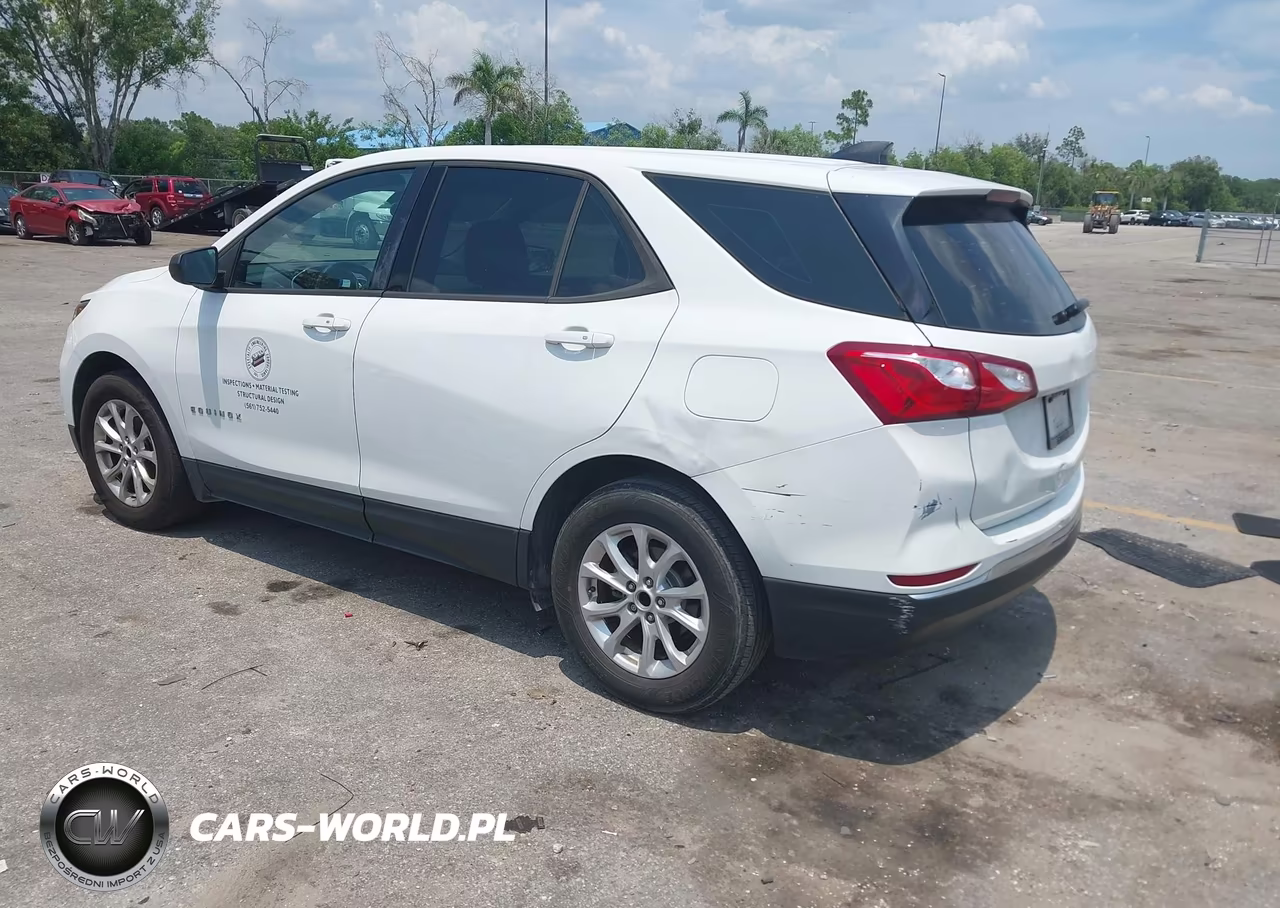 2019 Chevrolet Equinox Ls VIN:3GNAXHEV3KS638555 - 3