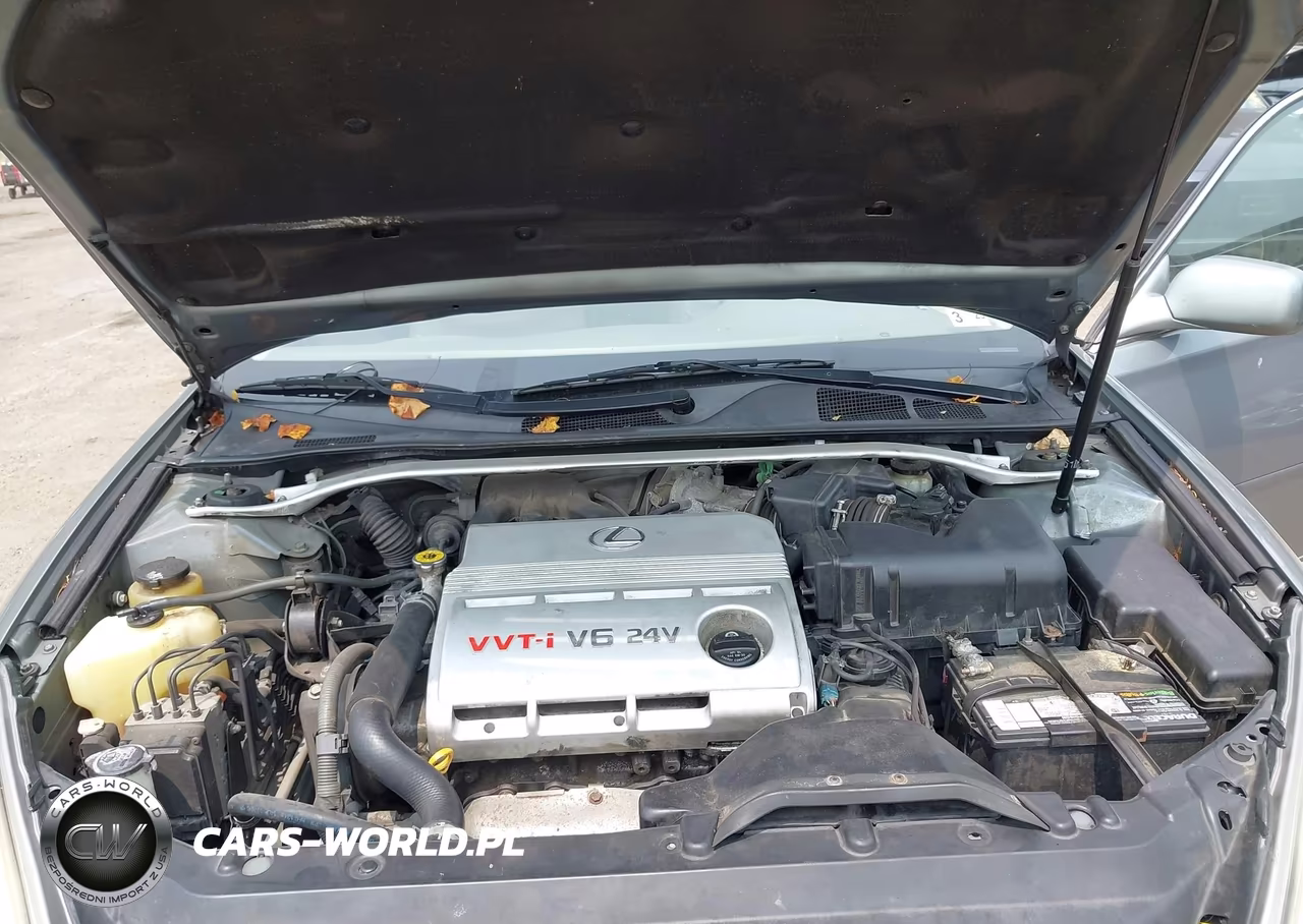 2003 Lexus Es 300 VIN:JTHBF30GX30103967 - 10