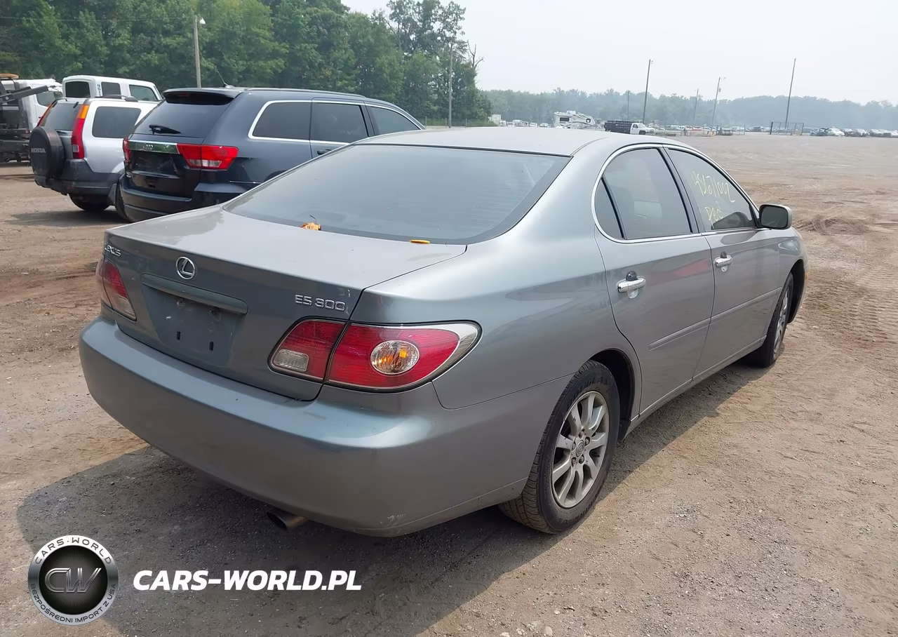 2003 Lexus Es 300 VIN:JTHBF30GX30103967 - 4