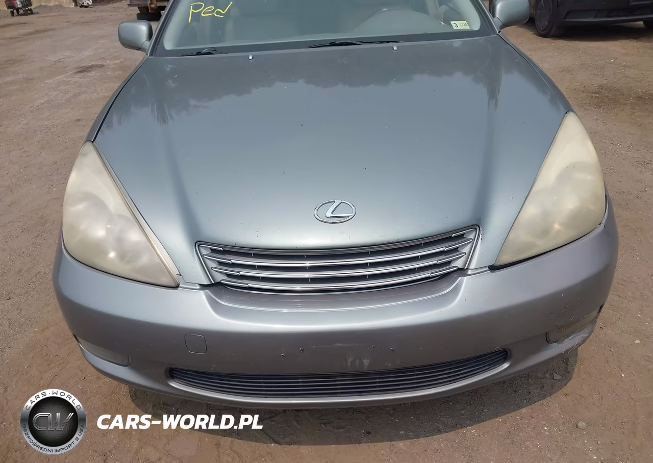 2003 Lexus Es 300 VIN:JTHBF30GX30103967 - 6