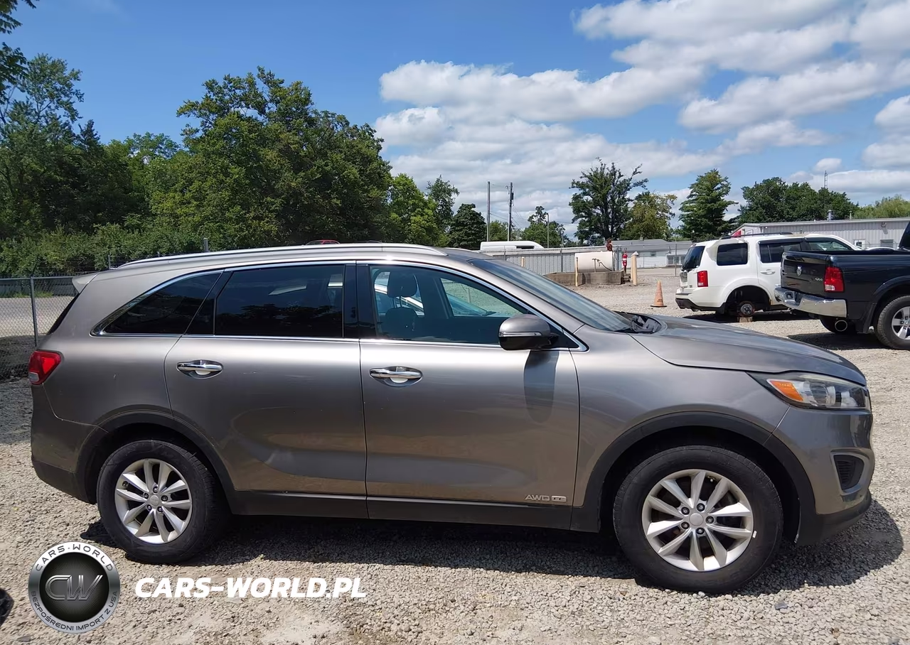 2017 Kia Sorento 3.3L Lx VIN:5XYPGDA50HG191758 - 13