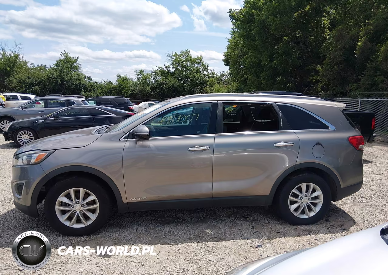 2017 Kia Sorento 3.3L Lx VIN:5XYPGDA50HG191758 - 14