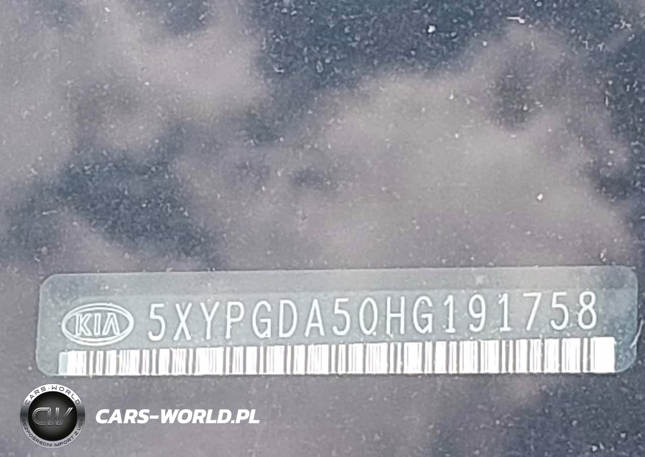 2017 Kia Sorento 3.3L Lx VIN:5XYPGDA50HG191758 - 9