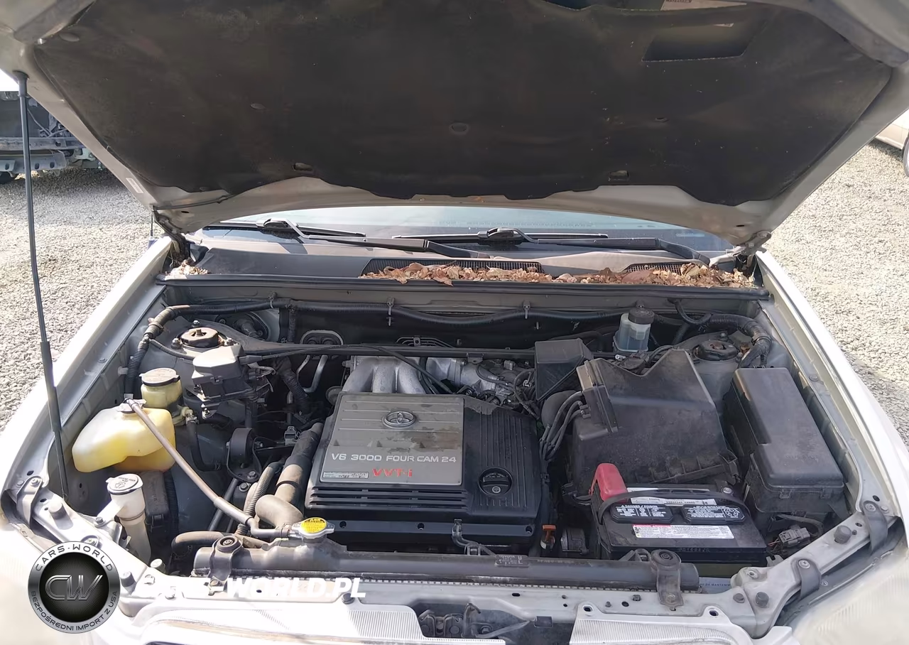 2002 Toyota Highlander VIN:JTEHF21A520045423 - 10