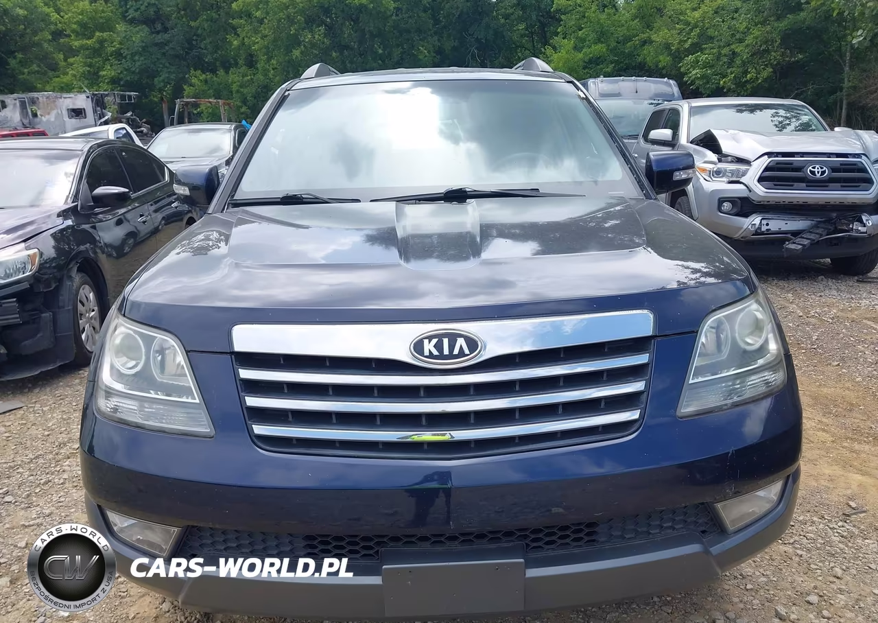 2009 Kia Borrego Ex V6 VIN:KNDJJ741195019539 - 6