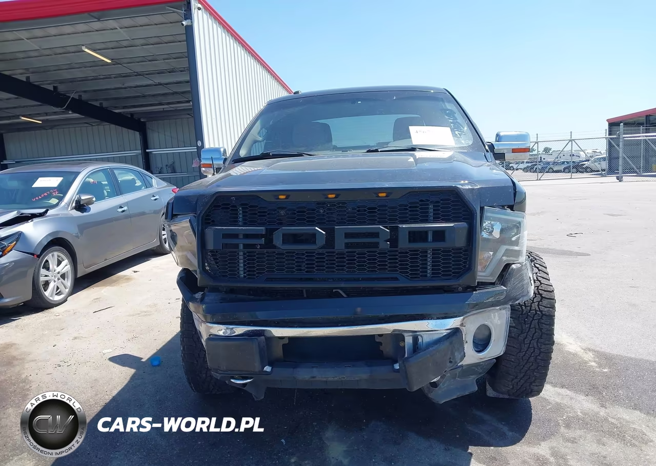 2010 Ford F-150 Fx4-Lariat-Xl-Xlt VIN:1FTFX1EV6AFC16532 - 12