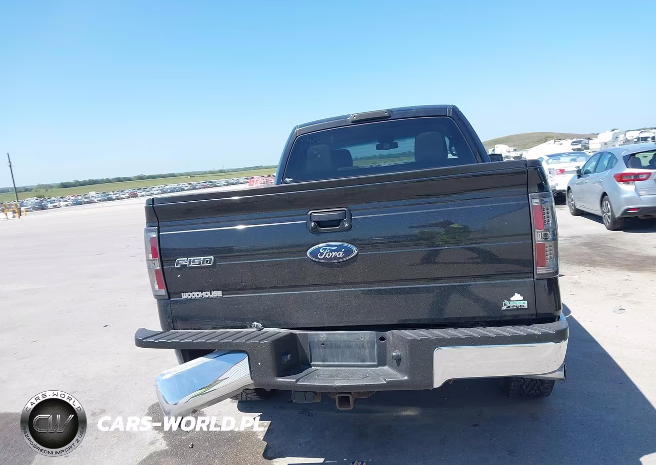 2010 Ford F-150 Fx4-Lariat-Xl-Xlt VIN:1FTFX1EV6AFC16532 - 16