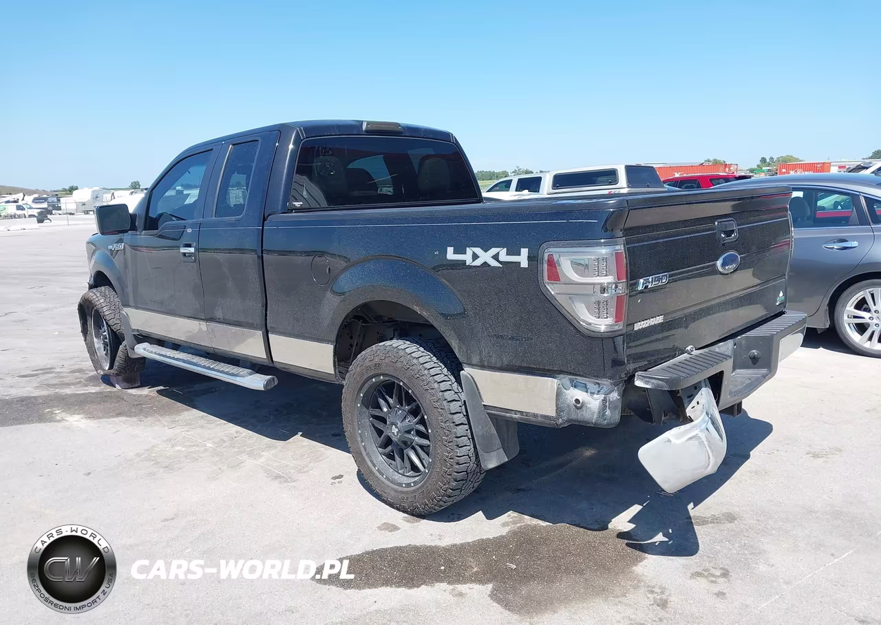 2010 Ford F-150 Fx4-Lariat-Xl-Xlt VIN:1FTFX1EV6AFC16532 - 3