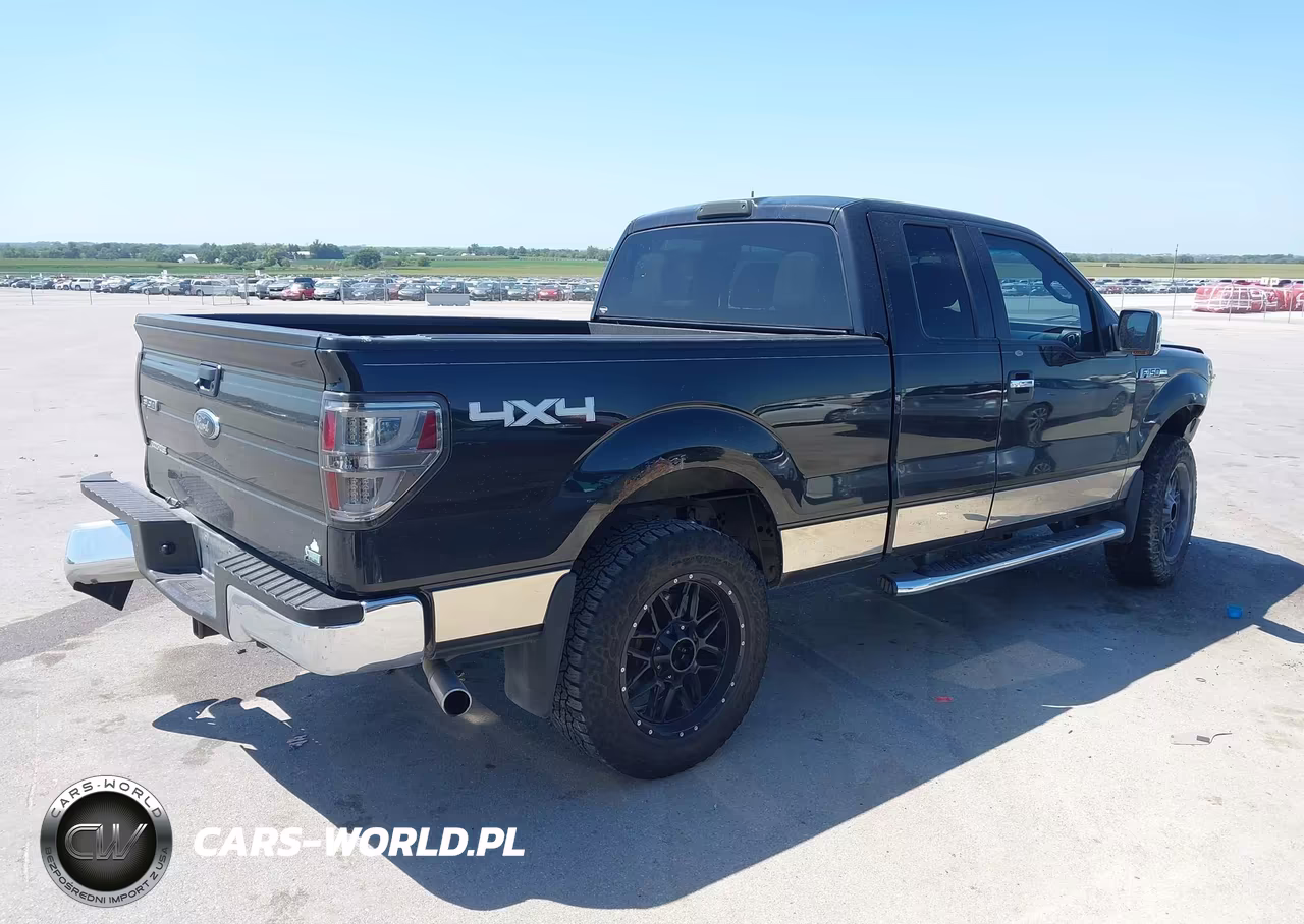 2010 Ford F-150 Fx4-Lariat-Xl-Xlt VIN:1FTFX1EV6AFC16532 - 4