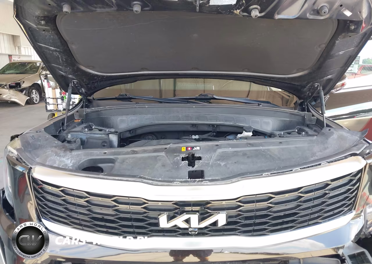 2022 Kia Telluride Sx VIN:5XYP54HCXNG275639 - 10