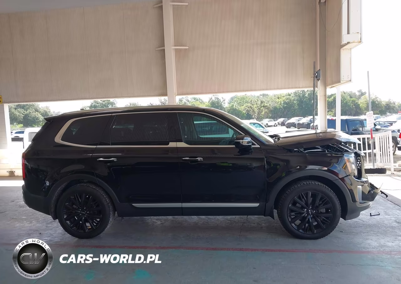 2022 Kia Telluride Sx VIN:5XYP54HCXNG275639 - 13