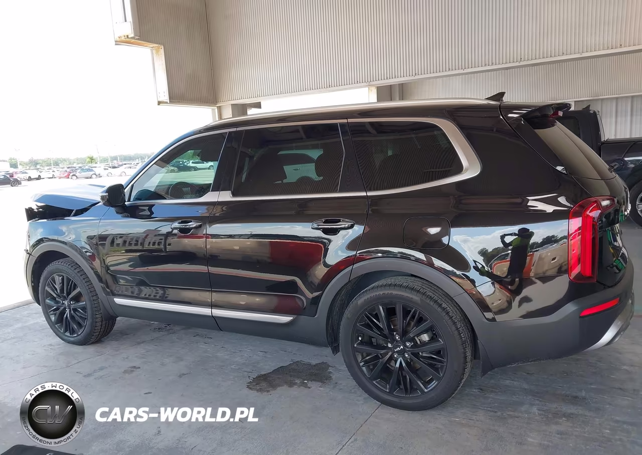 2022 Kia Telluride Sx VIN:5XYP54HCXNG275639 - 14